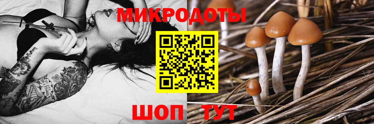 Барабинск  Галлюциногенные грибы Psilocybine cubensis  Вход с VPN 